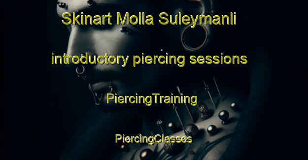 Skinart Molla Suleymanli introductory piercing sessions | #PiercingTraining #PiercingClasses #SkinartTraining-Turkey