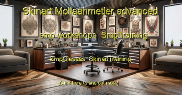 Skinart Mollaahmetler advanced smp workshops | SmpTraining | SmpClasses | SkinartTraining-Turkey