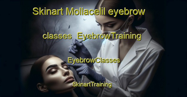 Skinart Mollacelil eyebrow classes | EyebrowTraining | EyebrowClasses | SkinartTraining-Turkey