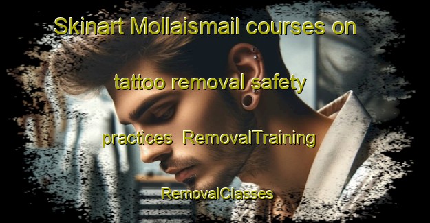 Skinart Mollaismail courses on tattoo removal safety practices | RemovalTraining | RemovalClasses | SkinartTraining-Turkey