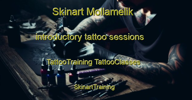 Skinart Mollamelik introductory tattoo sessions | #TattooTraining #TattooClasses #SkinartTraining-Turkey