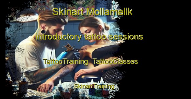 Skinart Mollamelik introductory tattoo sessions | TattooTraining | TattooClasses | SkinartTraining-Turkey
