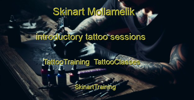 Skinart Mollamelik introductory tattoo sessions | TattooTraining | TattooClasses | SkinartTraining-Turkey