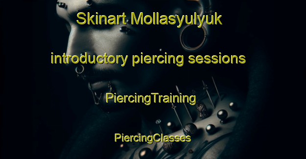 Skinart Mollasyulyuk introductory piercing sessions | #PiercingTraining #PiercingClasses #SkinartTraining-Turkey