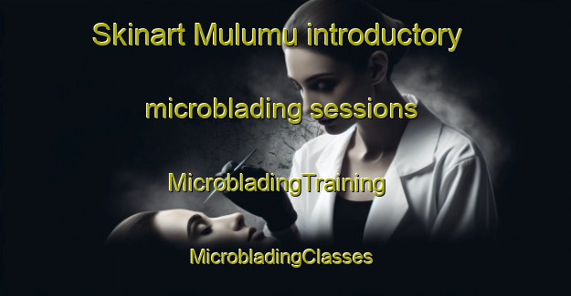 Skinart Mulumu introductory microblading sessions | MicrobladingTraining | MicrobladingClasses | SkinartTraining-Turkey