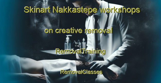 Skinart Nakkastepe workshops on creative removal | RemovalTraining | RemovalClasses | SkinartTraining-Turkey