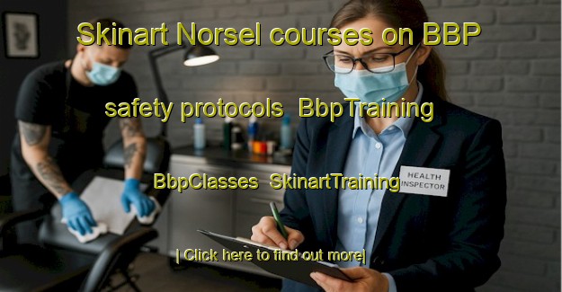 Skinart Norsel courses on BBP safety protocols | BbpTraining | BbpClasses | SkinartTraining-Turkey