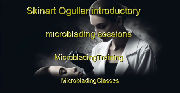 Skinart Ogullar introductory microblading sessions | #MicrobladingTraining #MicrobladingClasses #SkinartTraining-Turkey