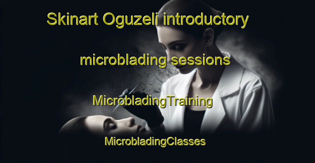 Skinart Oguzeli introductory microblading sessions | MicrobladingTraining | MicrobladingClasses | SkinartTraining-Turkey