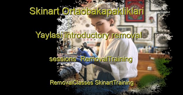 Skinart Ortaobakapakliklari Yaylasi introductory removal sessions | #RemovalTraining #RemovalClasses #SkinartTraining-Turkey