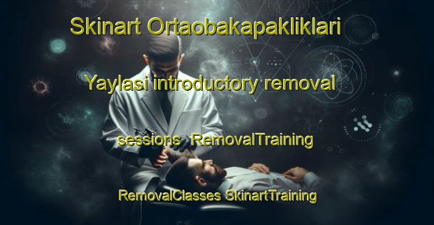 Skinart Ortaobakapakliklari Yaylasi introductory removal sessions | #RemovalTraining #RemovalClasses #SkinartTraining-Turkey