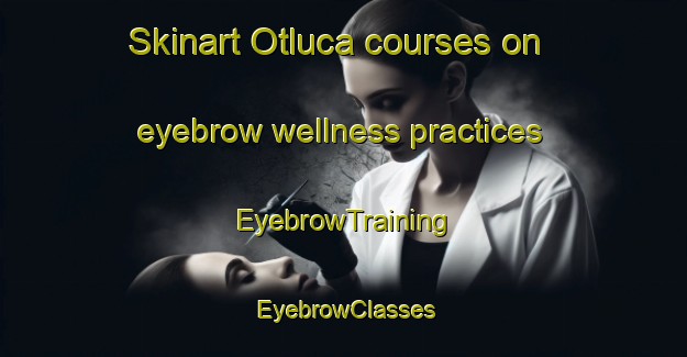 Skinart Otluca courses on eyebrow wellness practices | EyebrowTraining | EyebrowClasses | SkinartTraining-Turkey