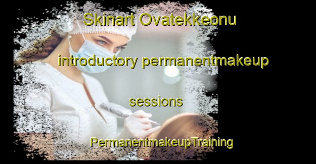 Skinart Ovatekkeonu introductory permanentmakeup sessions | PermanentmakeupTraining | PermanentmakeupClasses | SkinartTraining-Turkey