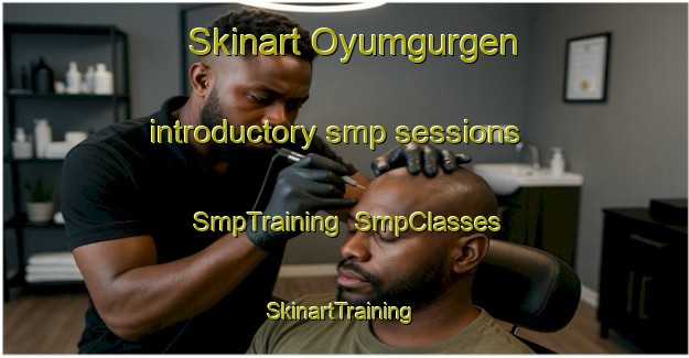 Skinart Oyumgurgen introductory smp sessions | SmpTraining | SmpClasses | SkinartTraining-Turkey
