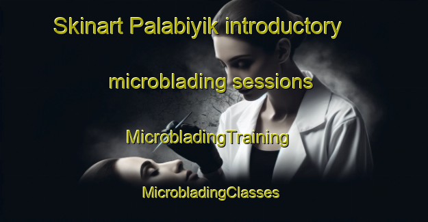 Skinart Palabiyik introductory microblading sessions | MicrobladingTraining | MicrobladingClasses | SkinartTraining-Turkey