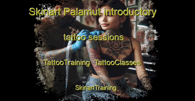 Skinart Palamut introductory tattoo sessions | TattooTraining | TattooClasses | SkinartTraining-Turkey