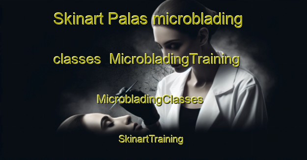 Skinart Palas microblading classes | MicrobladingTraining | MicrobladingClasses | SkinartTraining-Turkey