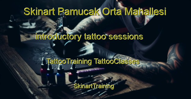 Skinart Pamucak Orta Mahallesi introductory tattoo sessions | #TattooTraining #TattooClasses #SkinartTraining-Turkey