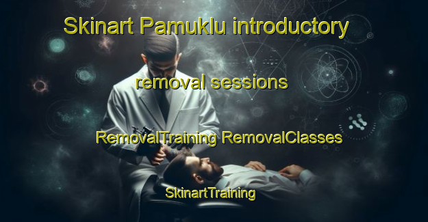 Skinart Pamuklu introductory removal sessions | #RemovalTraining #RemovalClasses #SkinartTraining-Turkey