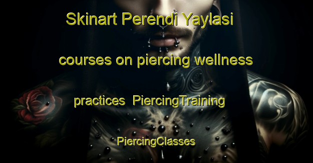 Skinart Perendi Yaylasi courses on piercing wellness practices | #PiercingTraining #PiercingClasses #SkinartTraining-Turkey