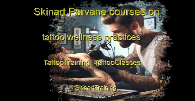 Skinart Pervane courses on tattoo wellness practices | TattooTraining | TattooClasses | SkinartTraining-Turkey