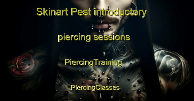 Skinart Pest introductory piercing sessions | PiercingTraining | PiercingClasses | SkinartTraining-Turkey