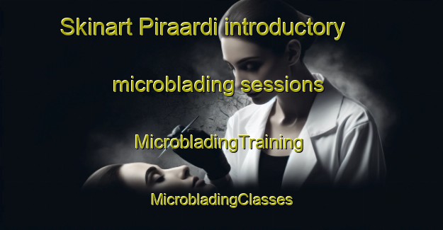 Skinart Piraardi introductory microblading sessions | #MicrobladingTraining #MicrobladingClasses #SkinartTraining-Turkey