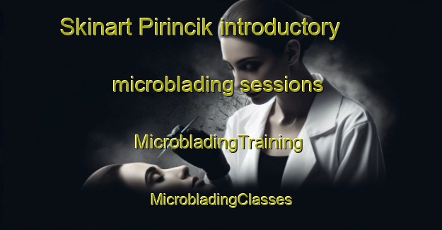 Skinart Pirincik introductory microblading sessions | #MicrobladingTraining #MicrobladingClasses #SkinartTraining-Turkey