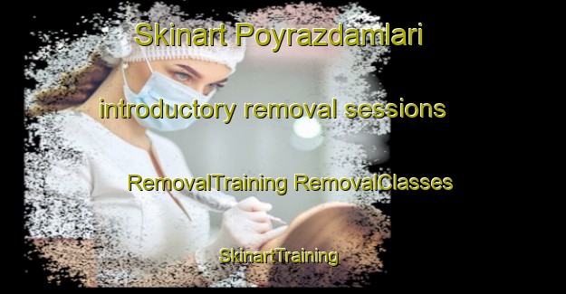 Skinart Poyrazdamlari introductory removal sessions | #RemovalTraining #RemovalClasses #SkinartTraining-Turkey