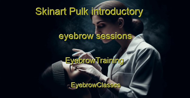 Skinart Pulk introductory eyebrow sessions | EyebrowTraining | EyebrowClasses | SkinartTraining-Turkey