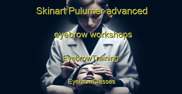 Skinart Pulumer advanced eyebrow workshops | EyebrowTraining | EyebrowClasses | SkinartTraining-Turkey