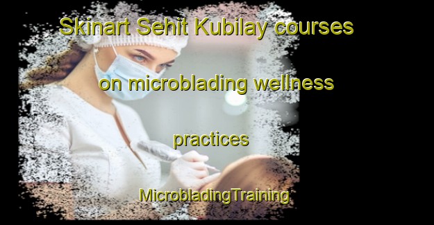 Skinart Sehit Kubilay courses on microblading wellness practices | #MicrobladingTraining #MicrobladingClasses #SkinartTraining-Turkey