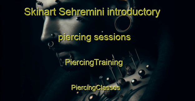 Skinart Sehremini introductory piercing sessions | PiercingTraining | PiercingClasses | SkinartTraining-Turkey