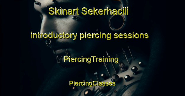 Skinart Sekerhacili introductory piercing sessions | #PiercingTraining #PiercingClasses #SkinartTraining-Turkey