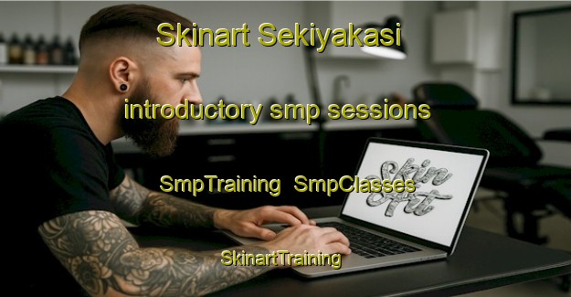 Skinart Sekiyakasi introductory smp sessions | SmpTraining | SmpClasses | SkinartTraining-Turkey