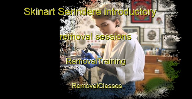 Skinart Serindere introductory removal sessions | RemovalTraining | RemovalClasses | SkinartTraining-Turkey