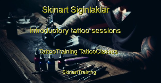 Skinart Siginlaklar introductory tattoo sessions | #TattooTraining #TattooClasses #SkinartTraining-Turkey