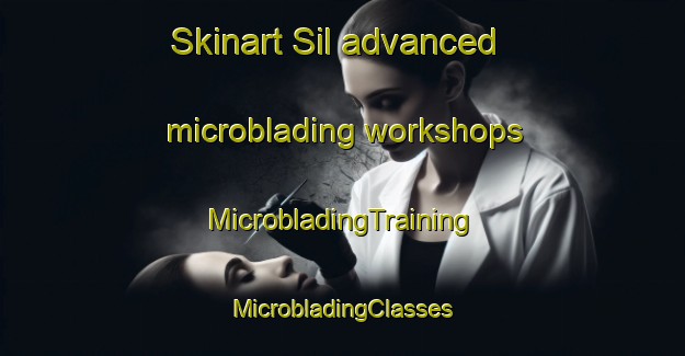 Skinart Sil advanced microblading workshops | #MicrobladingTraining #MicrobladingClasses #SkinartTraining-Turkey