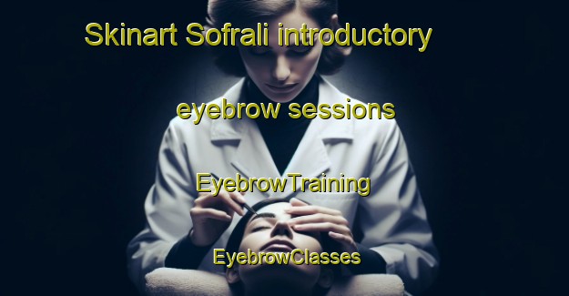 Skinart Sofrali introductory eyebrow sessions | EyebrowTraining | EyebrowClasses | SkinartTraining-Turkey