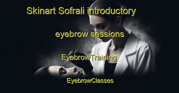 Skinart Sofrali introductory eyebrow sessions | EyebrowTraining | EyebrowClasses | SkinartTraining-Turkey
