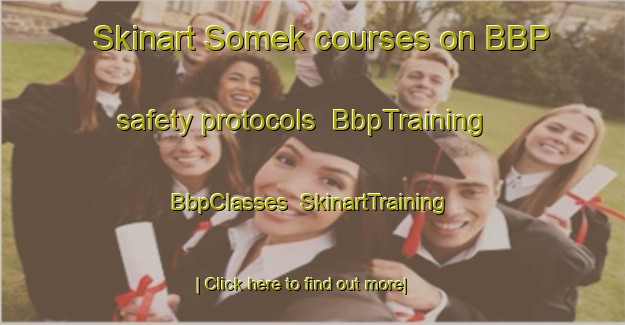 Skinart Somek courses on BBP safety protocols | BbpTraining | BbpClasses | SkinartTraining-Turkey