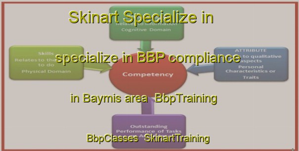 Skinart Specialize in specialize in BBP compliance in Baymis area | BbpTraining | BbpClasses | SkinartTraining-Turkey