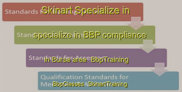 Skinart Specialize in specialize in BBP compliance in Bursa area | BbpTraining | BbpClasses | SkinartTraining-Turkey