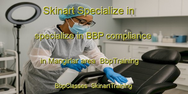 Skinart Specialize in specialize in BBP compliance in Mangirlar area | BbpTraining | BbpClasses | SkinartTraining-Turkey