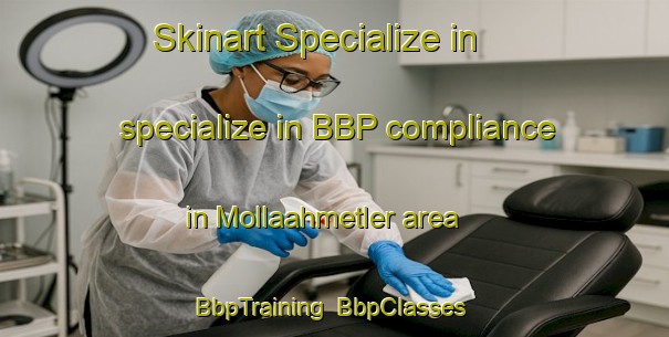 Skinart Specialize in specialize in BBP compliance in Mollaahmetler area | BbpTraining | BbpClasses | SkinartTraining-Turkey