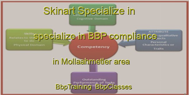 Skinart Specialize in specialize in BBP compliance in Mollaahmetler area | BbpTraining | BbpClasses | SkinartTraining-Turkey