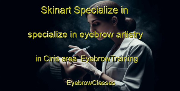 Skinart Specialize in specialize in eyebrow artistry in Ciris area | EyebrowTraining | EyebrowClasses | SkinartTraining-Turkey