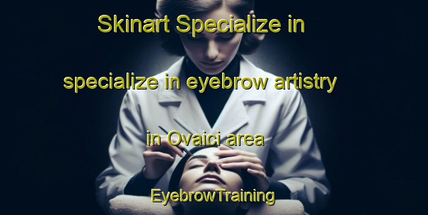 Skinart Specialize in specialize in eyebrow artistry in Ovaici area | EyebrowTraining | EyebrowClasses | SkinartTraining-Turkey