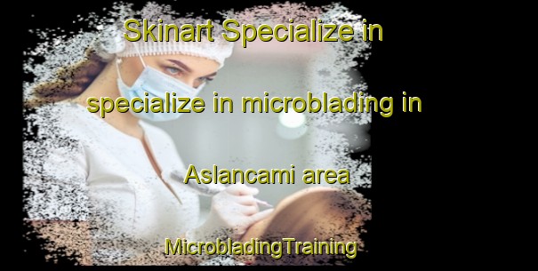 Skinart Specialize in specialize in microblading in Aslancami area | MicrobladingTraining | MicrobladingClasses | SkinartTraining-Turkey