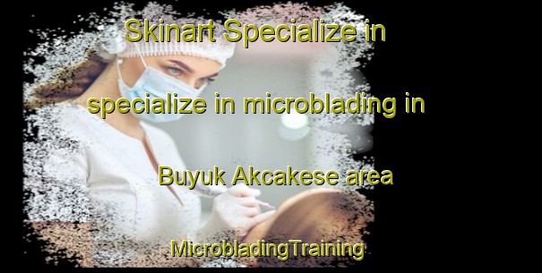 Skinart Specialize in specialize in microblading in Buyuk Akcakese area | #MicrobladingTraining #MicrobladingClasses #SkinartTraining-Turkey